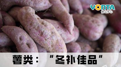 冬天多吃“根”，強健又補身